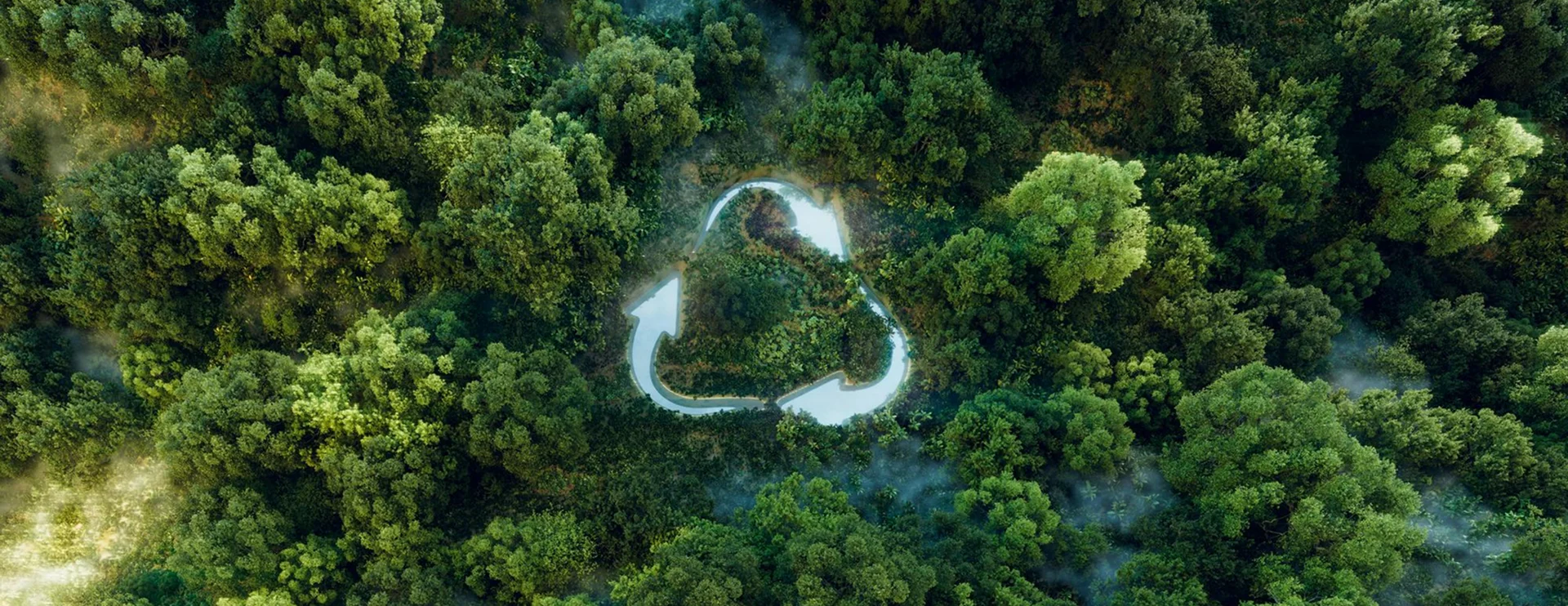 Sustainability & Innovation